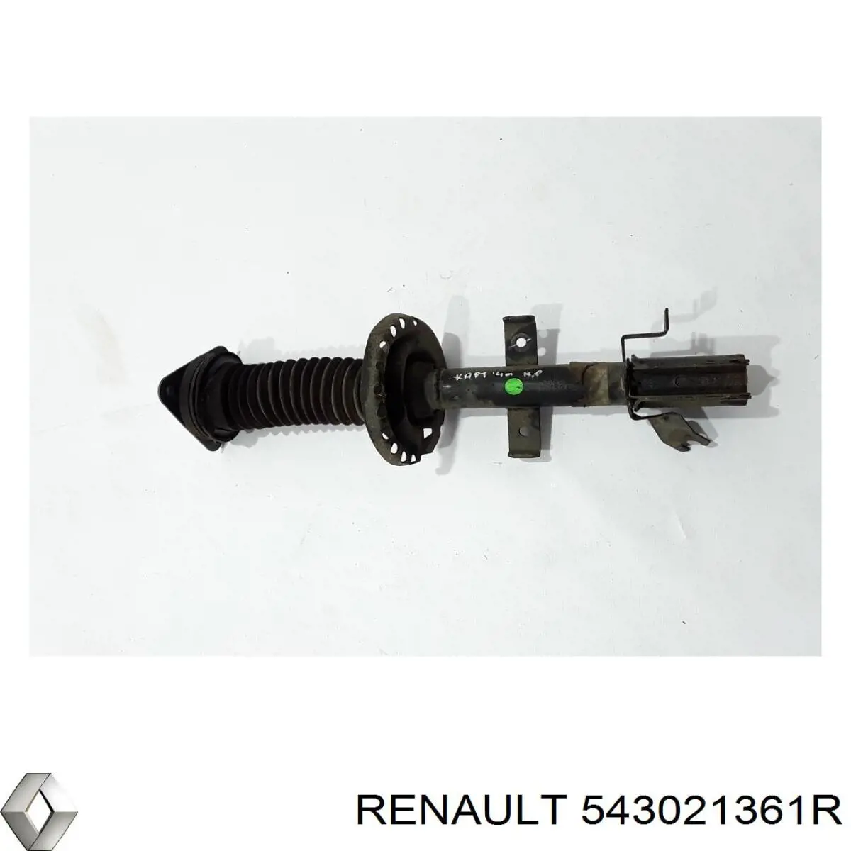 Compre 543021361R Renault (RVI) Amortecedor dianteiro