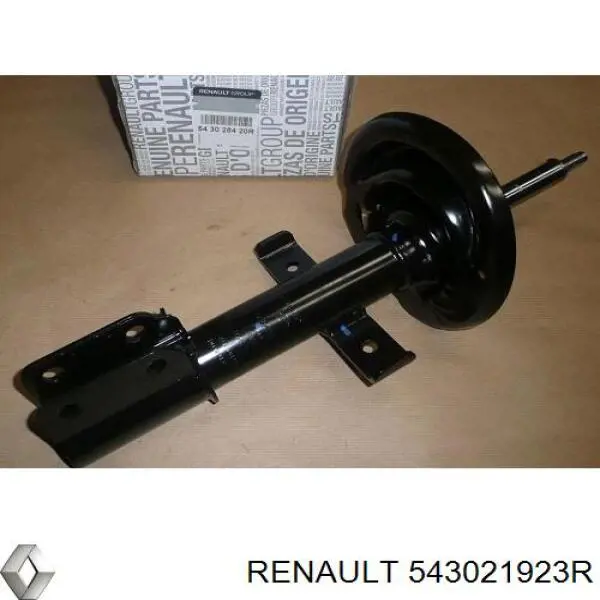 Compre 543021923R Renault (RVI) Amortecedor dianteiro