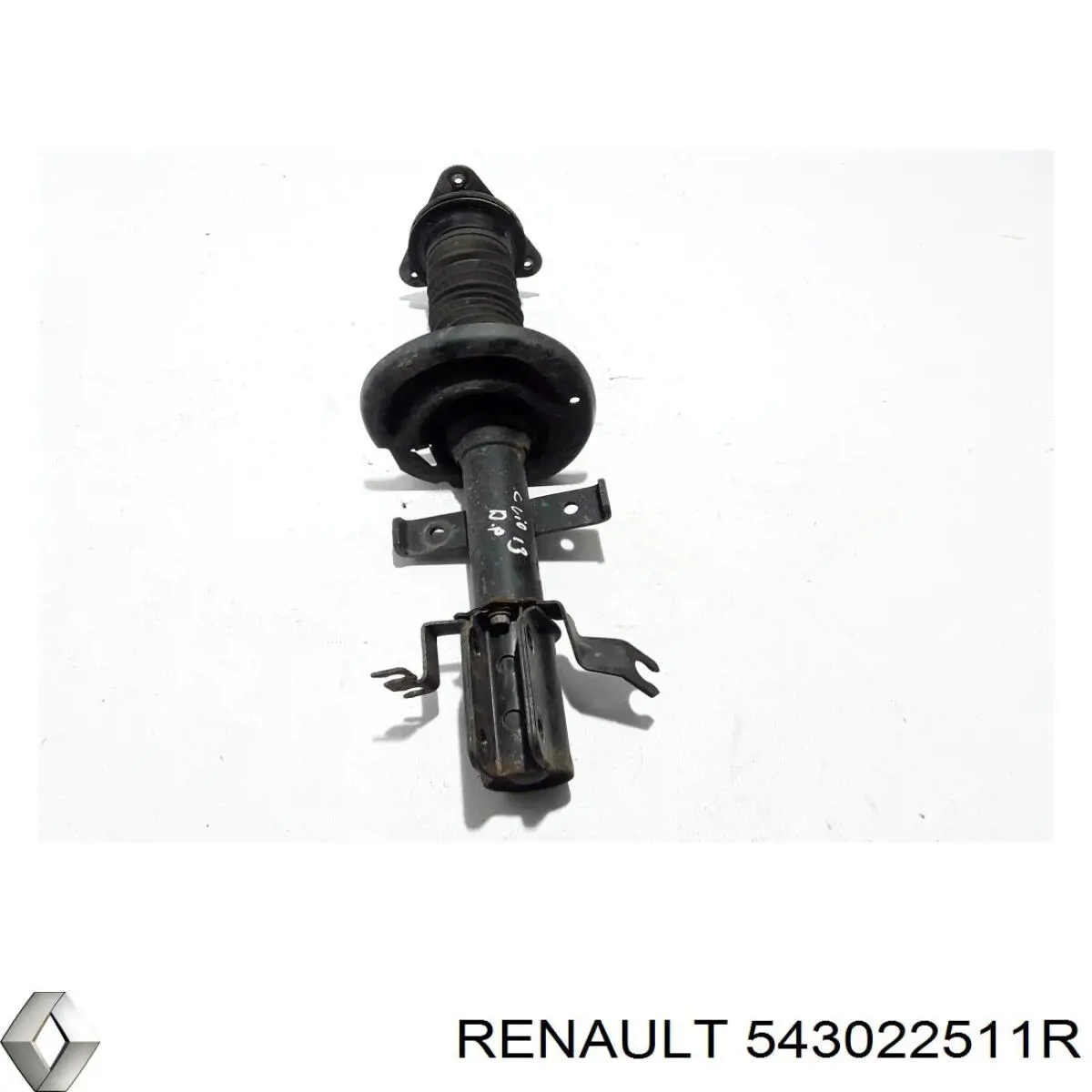543022511R Renault (RVI) Amortecedor dianteiro