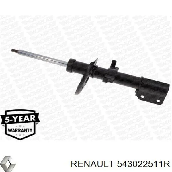 Compre 543022511R Renault (RVI) Amortecedor dianteiro