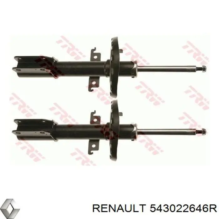 Compre 543022646R Renault (RVI) Amortecedor dianteiro