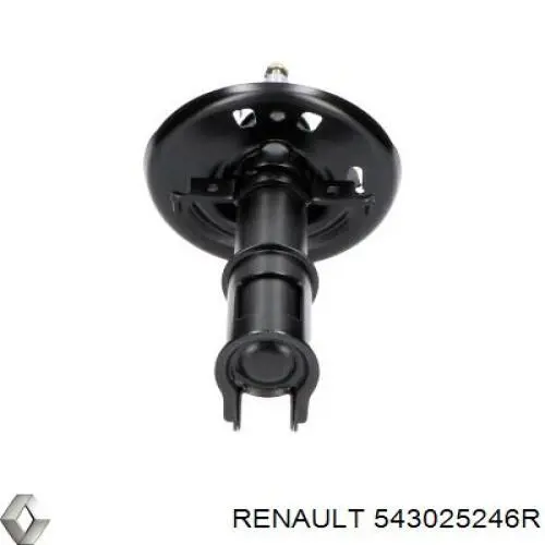 Compre 543025246R Renault (RVI) Amortecedor dianteiro