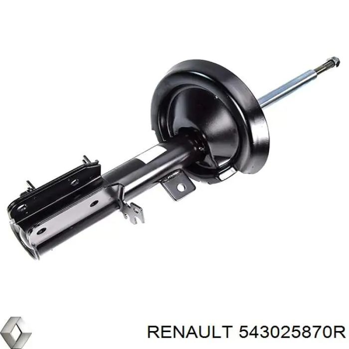 543025870R Renault (RVI) Amortecedor dianteiro