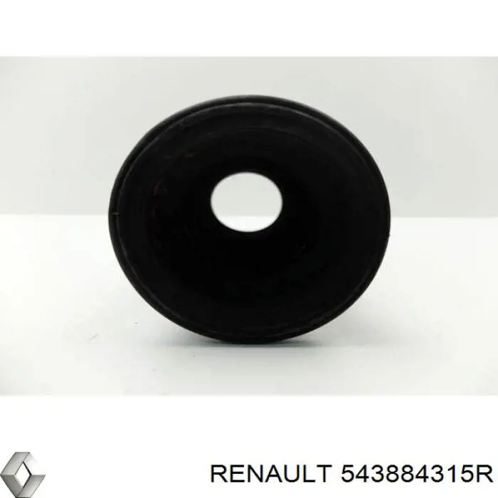 543884315R Renault (RVI) Bota de proteção de amortecedor dianteiro