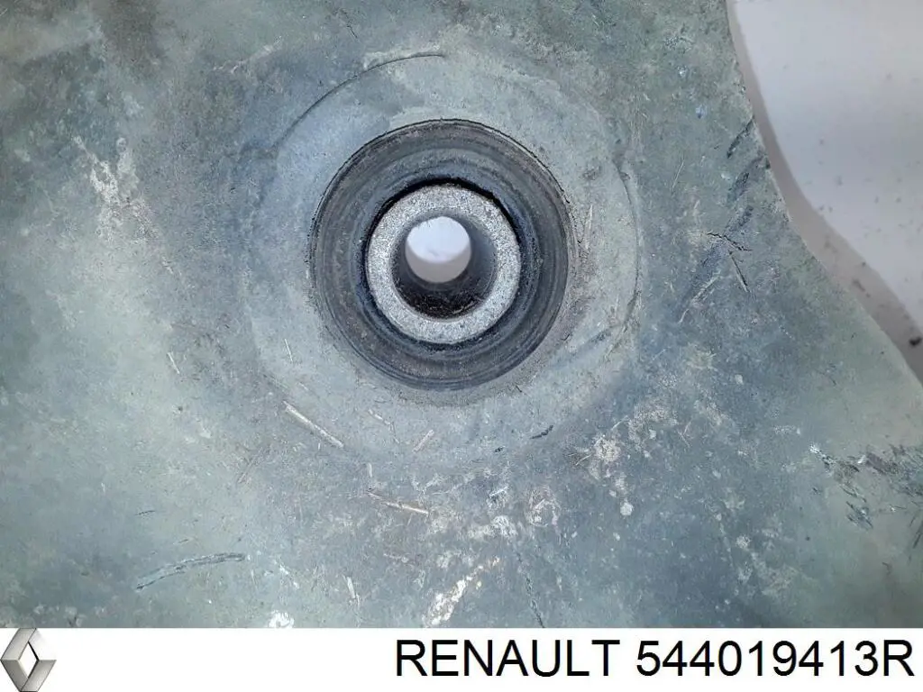  Renault (RVI) 544019413R preço, a partir de 187,28 USD