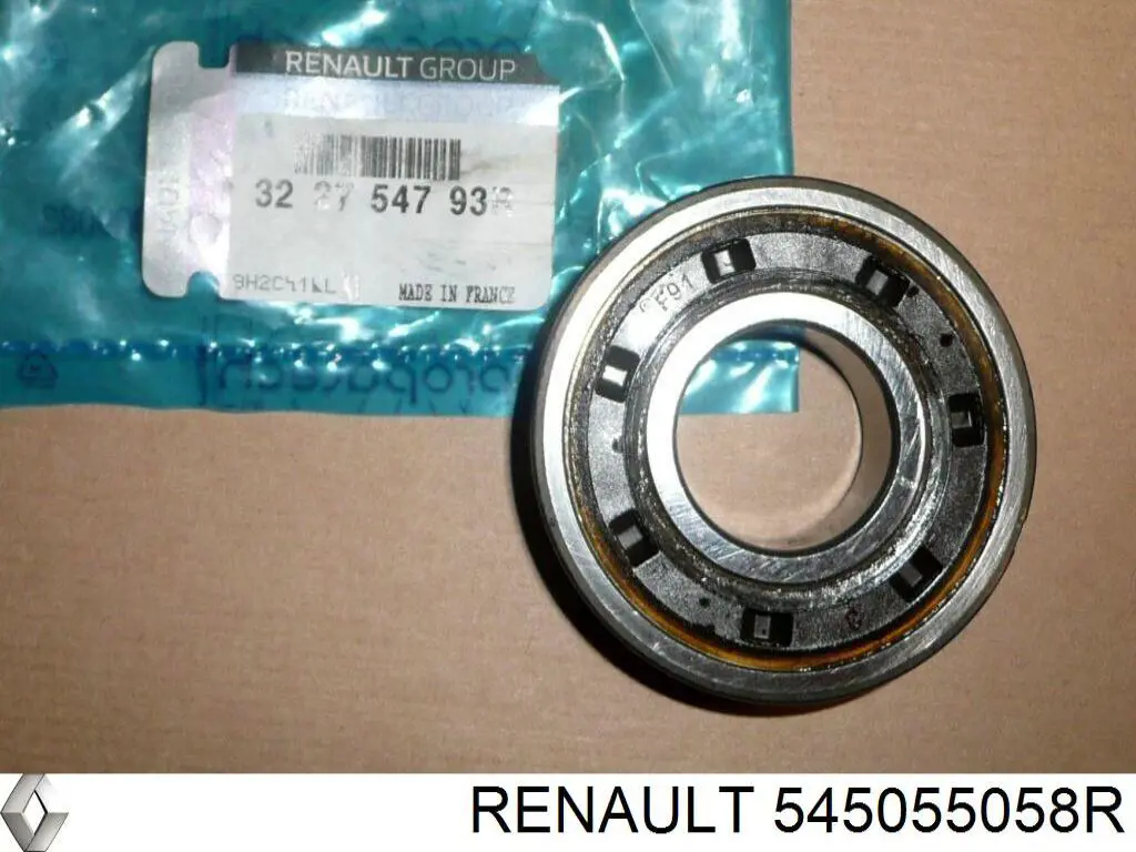  545055058R Renault (RVI)