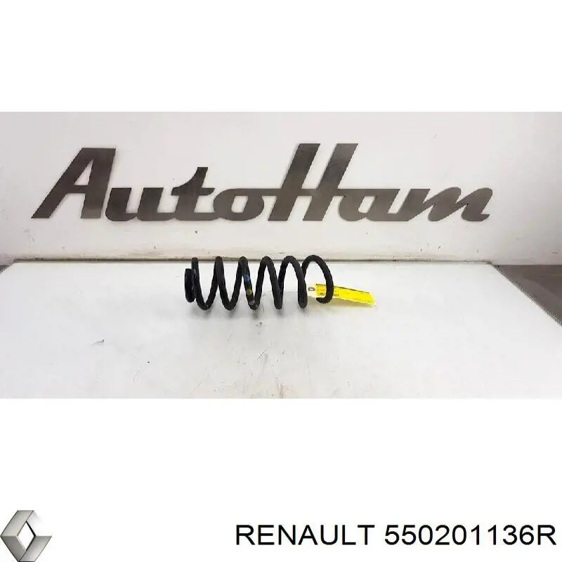 550201136R Renault (RVI) Mola traseira