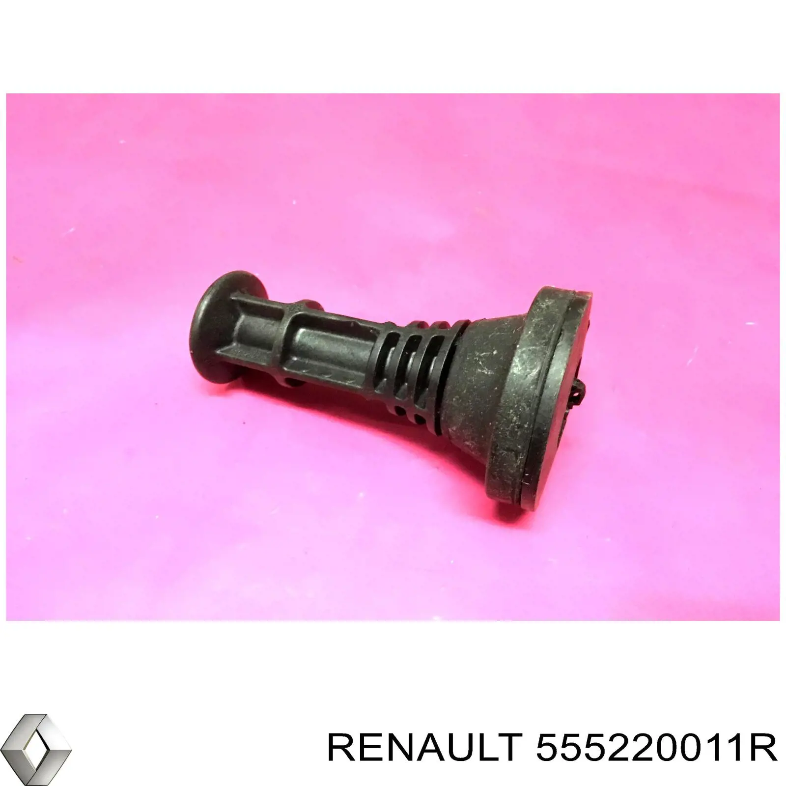 Compre 555220011R Renault (RVI) Grade de proteção da mola traseira