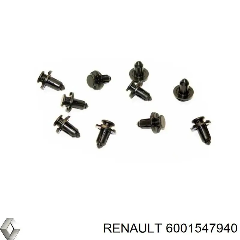 6001547940 Renault (RVI) Guarda-barras direito do pára-lama dianteiro