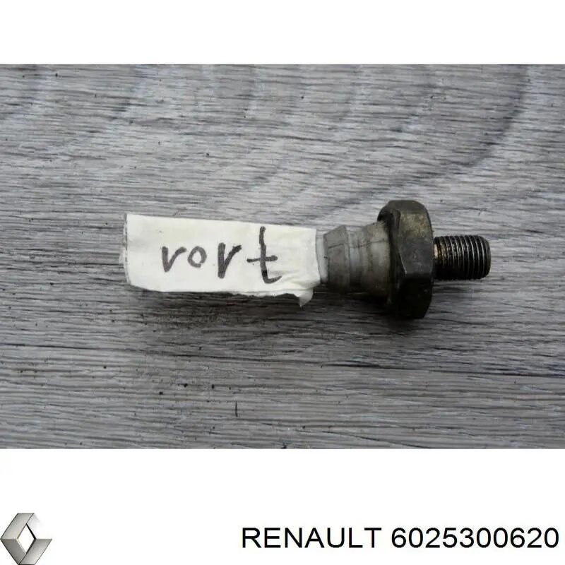  Renault (RVI) 6025300620 preço, a partir de  