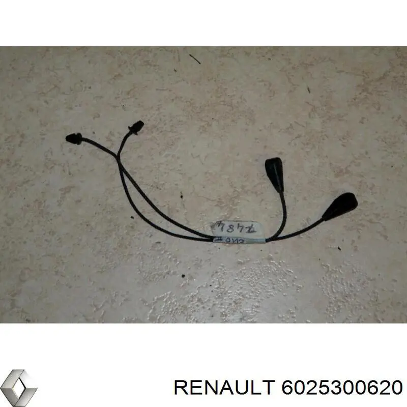 Compre 6025300620 Renault (RVI) 