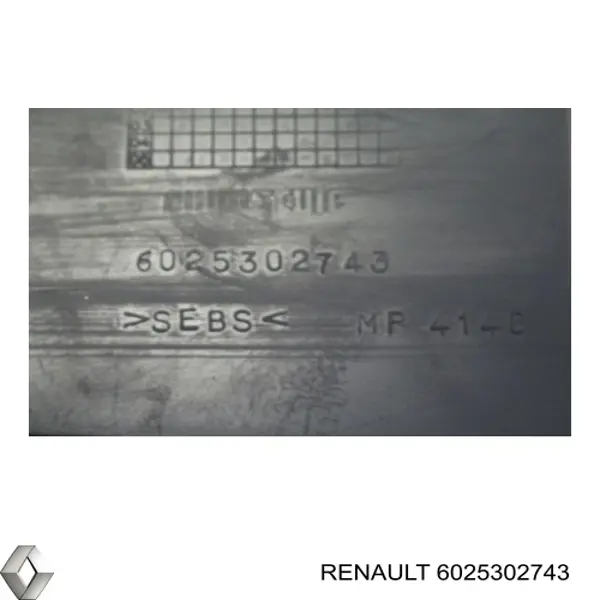 6025302743 Renault (RVI) 