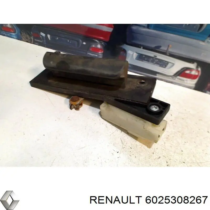 6025308267 Renault (RVI) Puxador externo de tampa de porta-malas (de 3ª/5ª porta traseira)