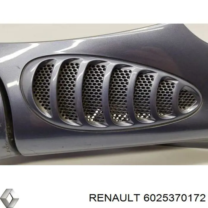 Compre 6025370172 Renault (RVI) Espelho de retrovisão direito