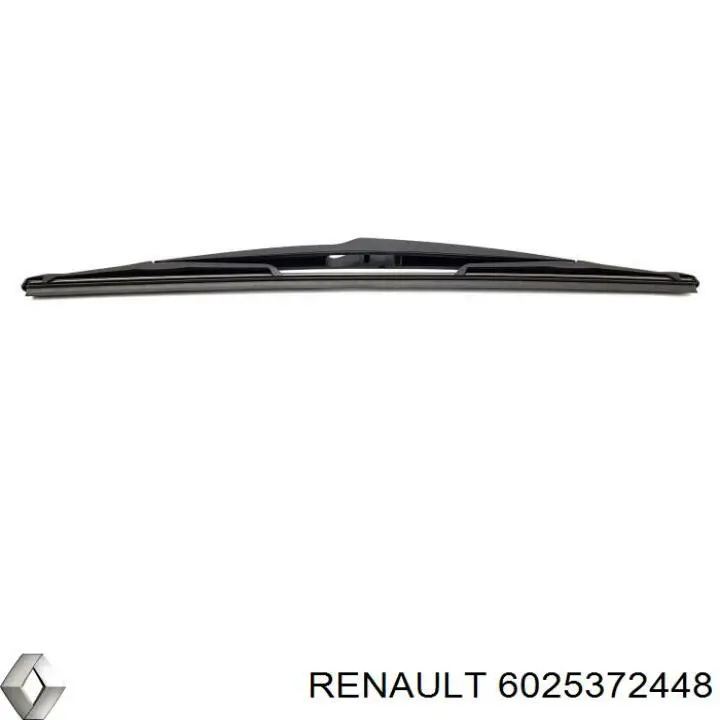 6025372448 Renault (RVI) 
