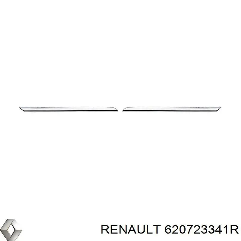  620723341R Renault (RVI)
