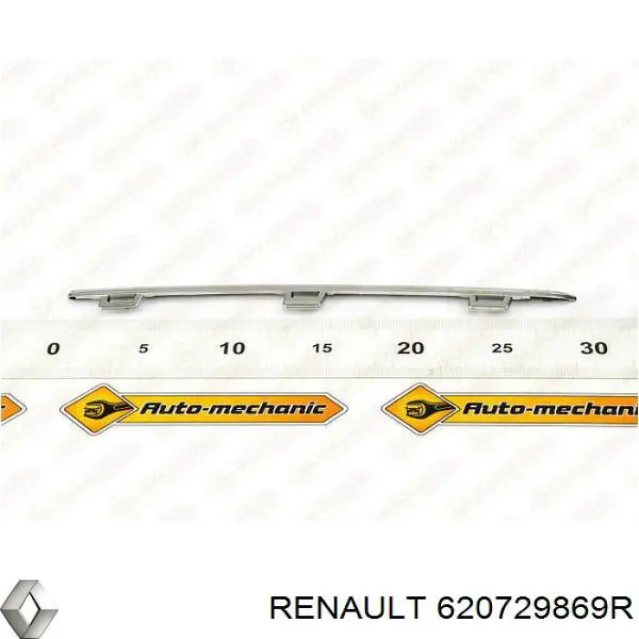 620729869R Renault (RVI) Moldura superior de grelha do radiador