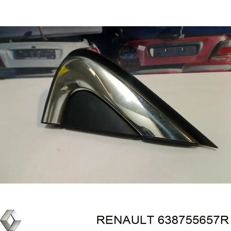 Moldura do pára-lama dianteiro esquerdo 638755657R Renault (RVI)