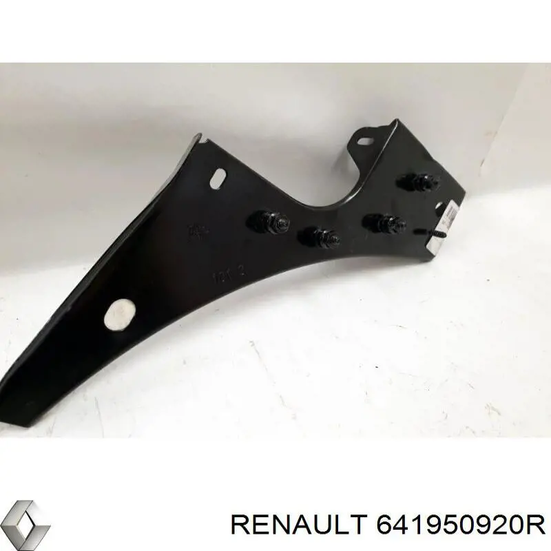 Compre 641950920R Renault (RVI) 