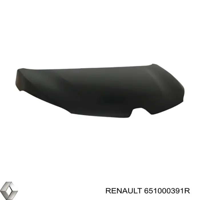 651000391R Renault (RVI) Capota