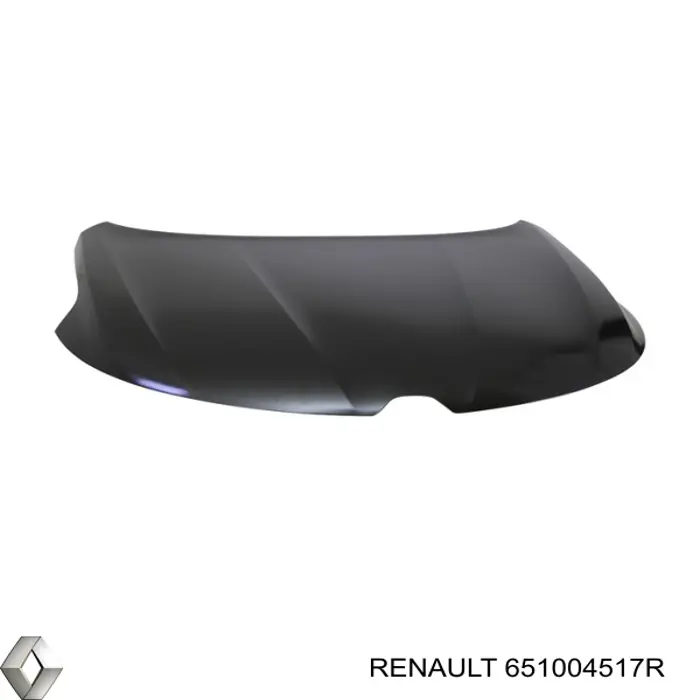 651004517R Renault (RVI) Capota