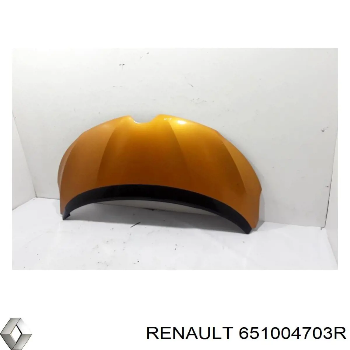 651004703R Renault (RVI) Capota