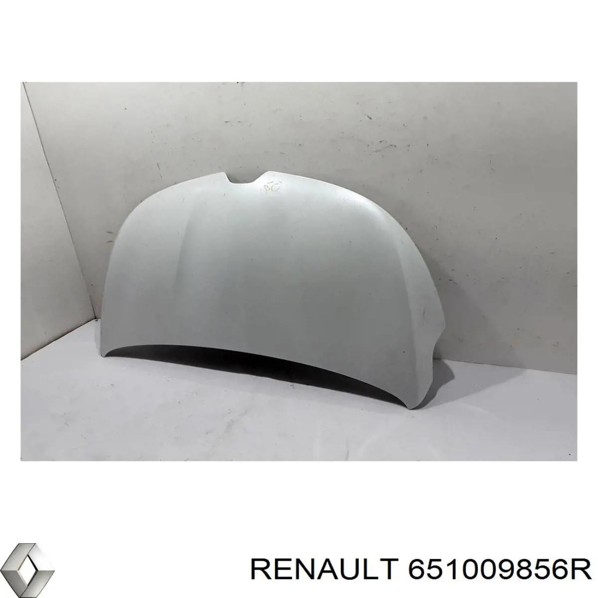 Compre 651009856R Renault (RVI) 