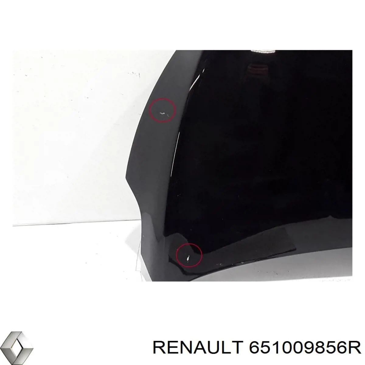  651009856R Renault (RVI)