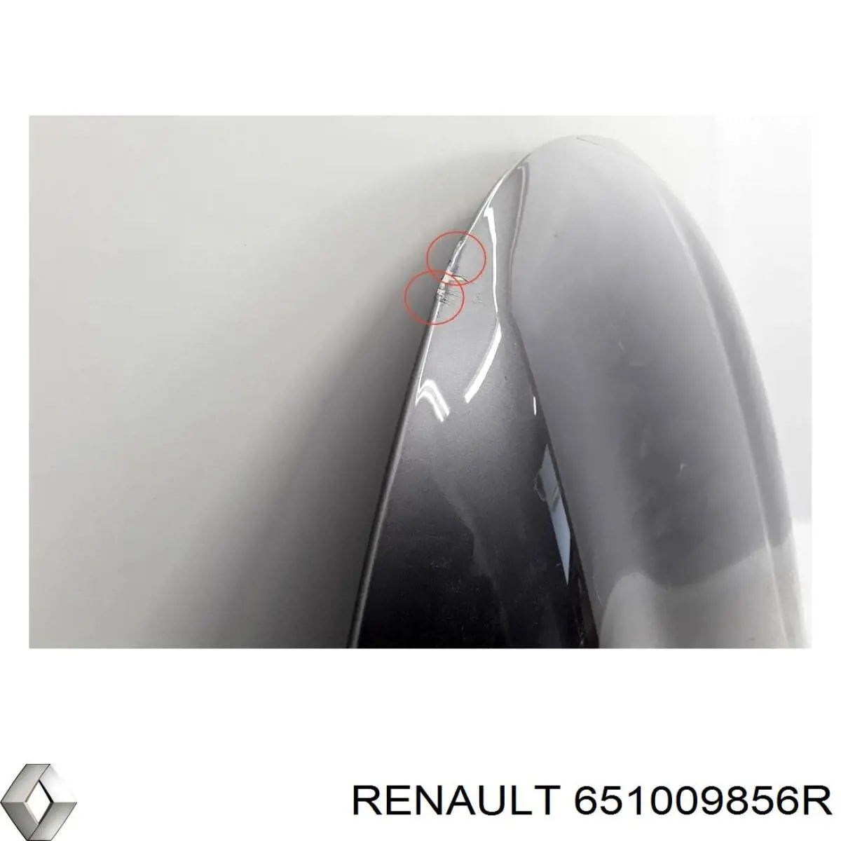 Compre 651009856R Renault (RVI) 