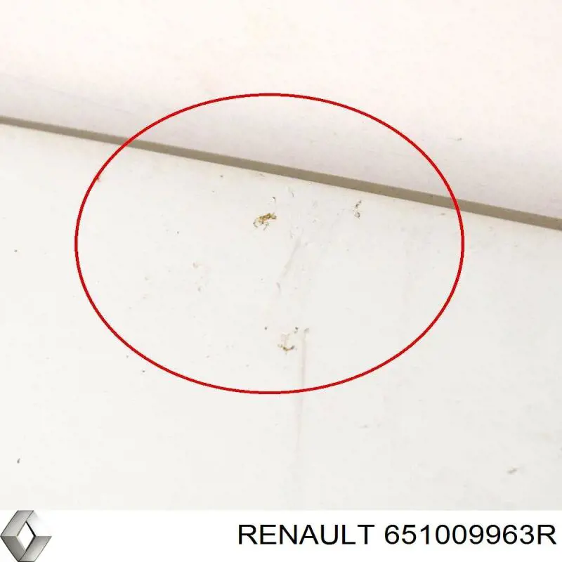 Compre 651009963R Renault (RVI) Capota