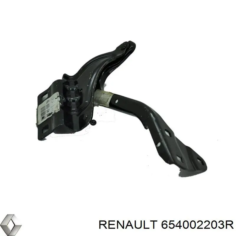 Compre 654002203R Renault (RVI) 