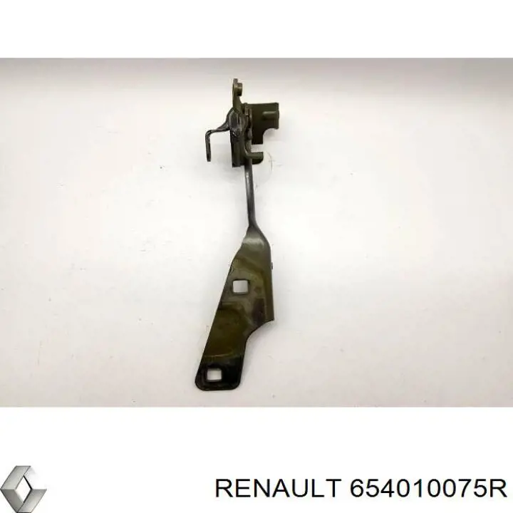 Gozno da capota esquerdo Renault (RVI) 654010075R preço, a partir de 77,49 USD