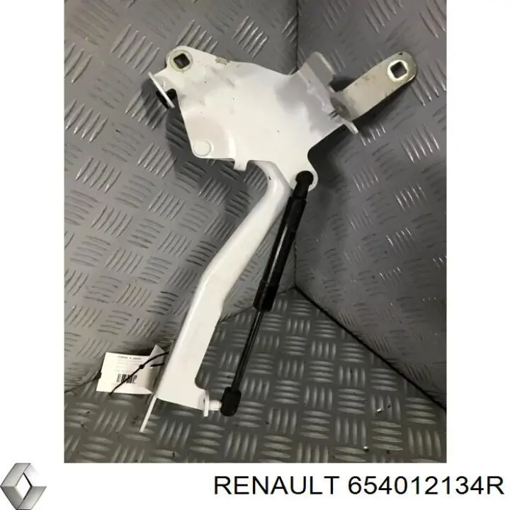 Compre 654012134R Renault (RVI) Gozno da capota esquerdo