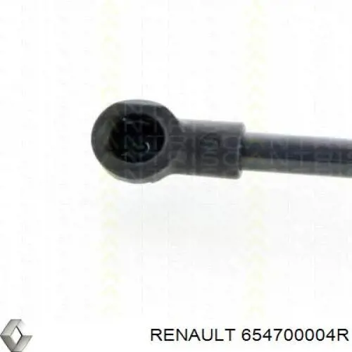 Amortecedor da capota Renault (RVI) 654700004R preço, a partir de 29,41 USD