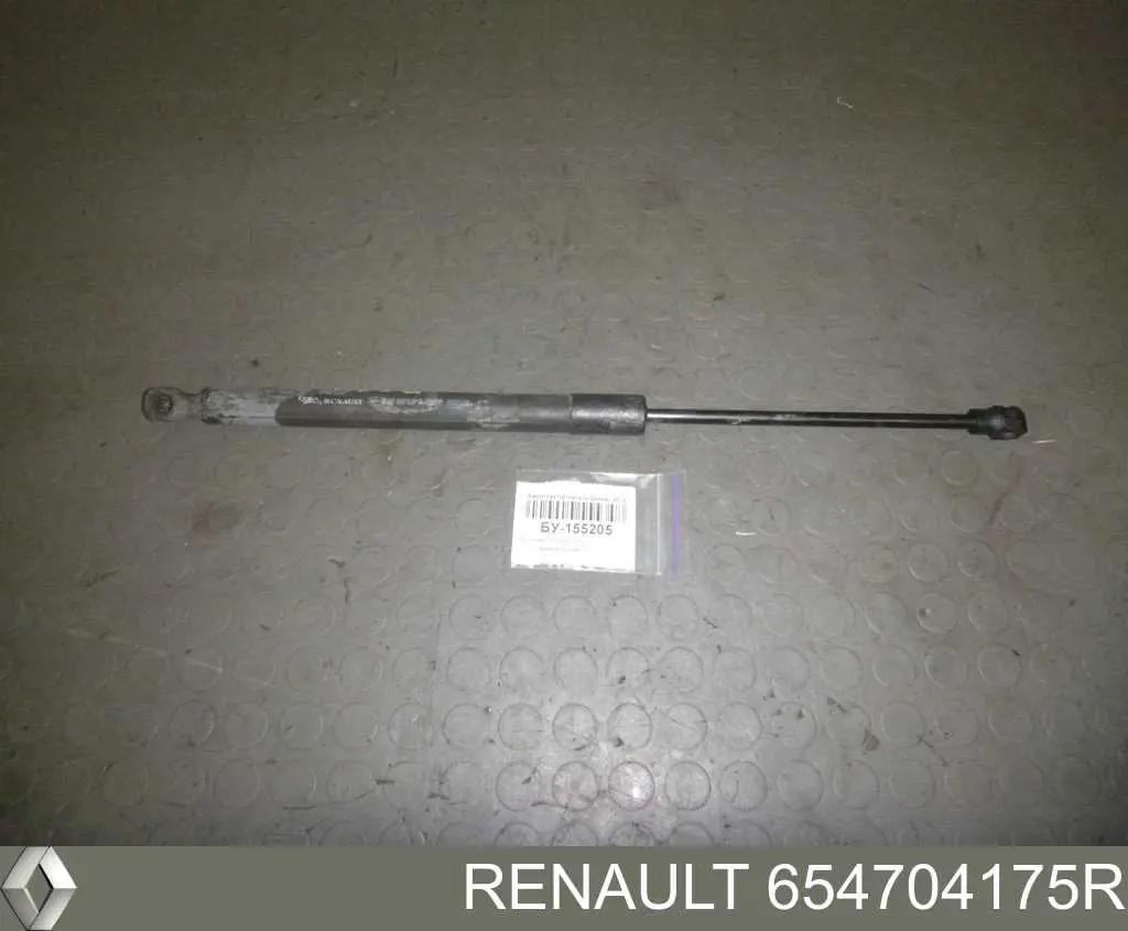 654704175R Renault (RVI) Amortecedor da capota