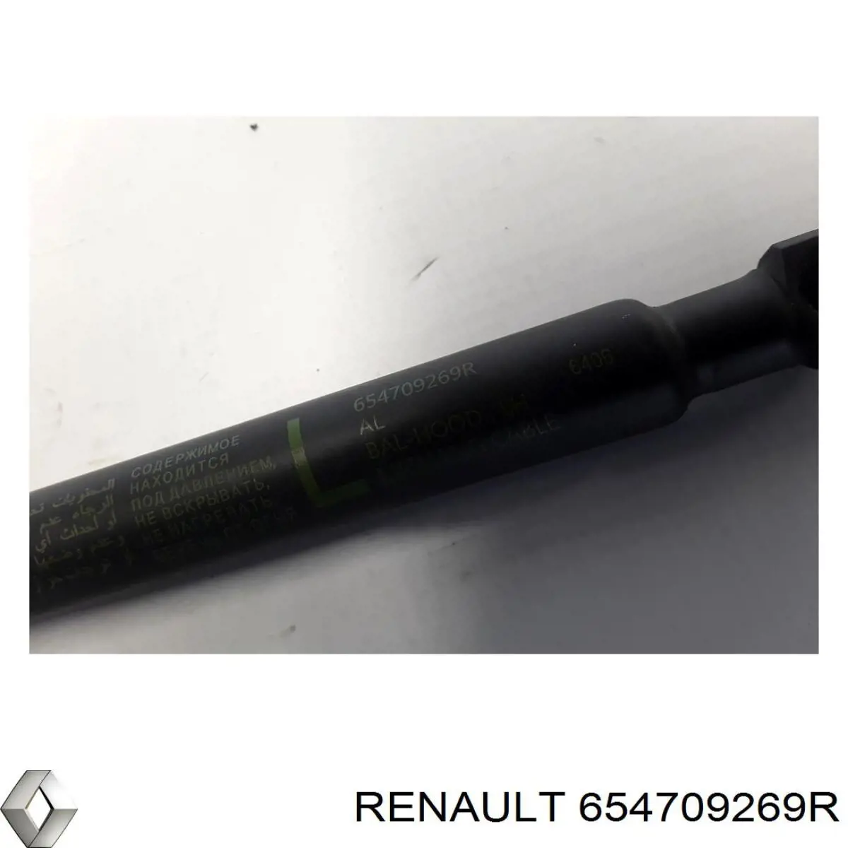 Compre 654709269R Renault (RVI) 