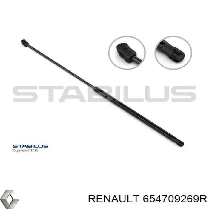  Renault (RVI) 654709269R