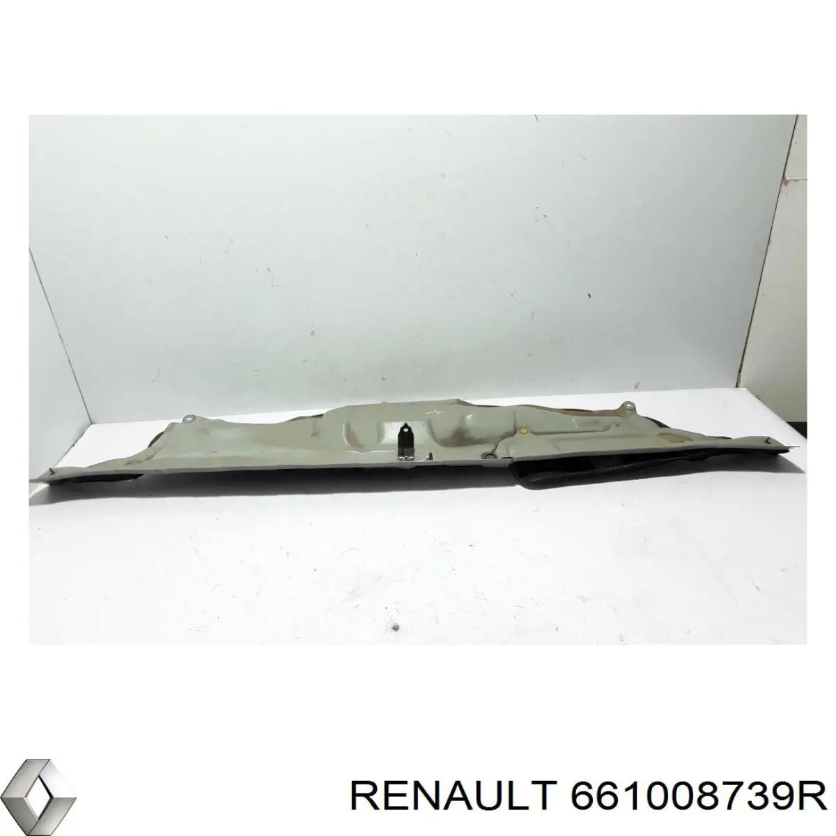 661008739R Renault (RVI) 