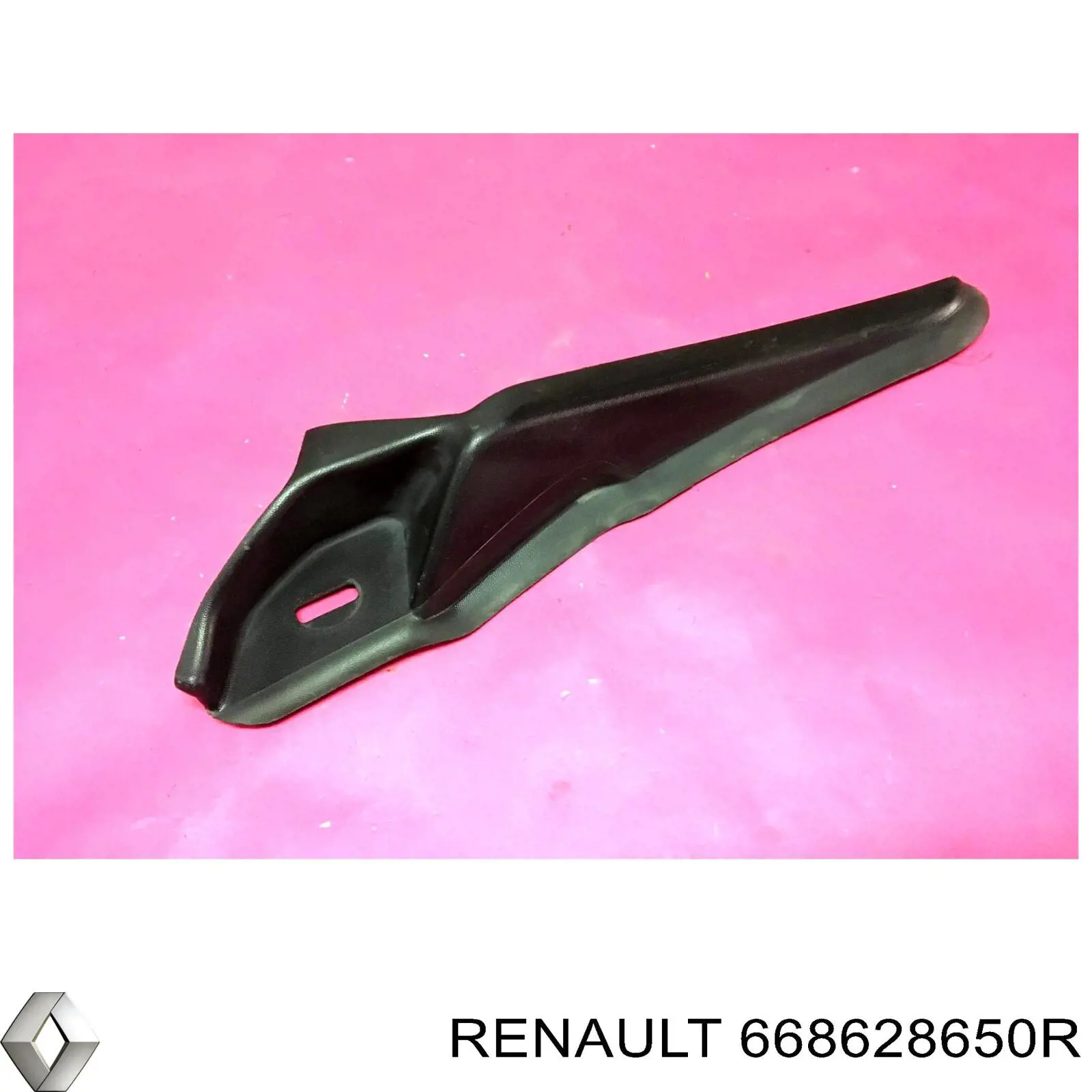 668628650R Renault (RVI) Dreno de pára-brisas, bofes