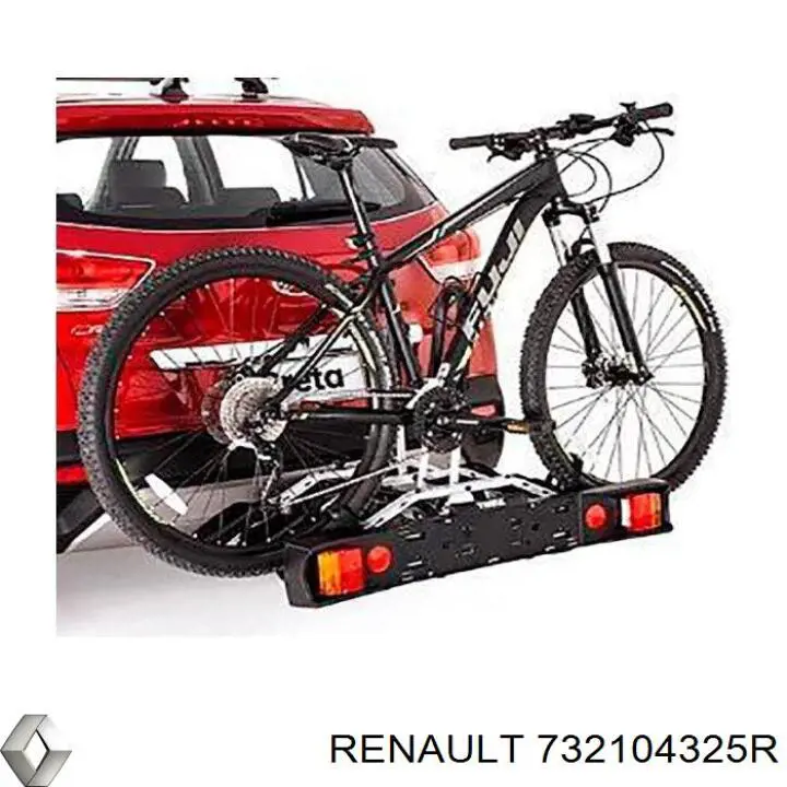 732104325R Renault (RVI) 