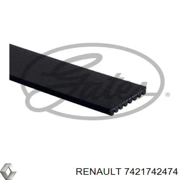 Correia dos conjuntos de transmissão Renault (RVI) 7421742474