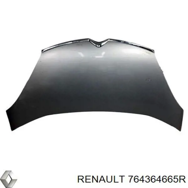 Placa sobreposta (moldura) externa dianteira direita de acesso Renault (RVI) 764364665R preço, a partir de 73,17 USD