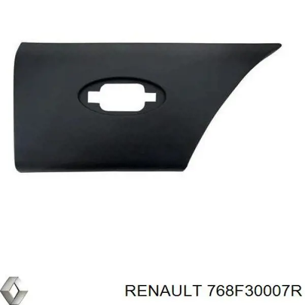 768F30007R Renault (RVI) Moldura do pára-lama traseiro direito