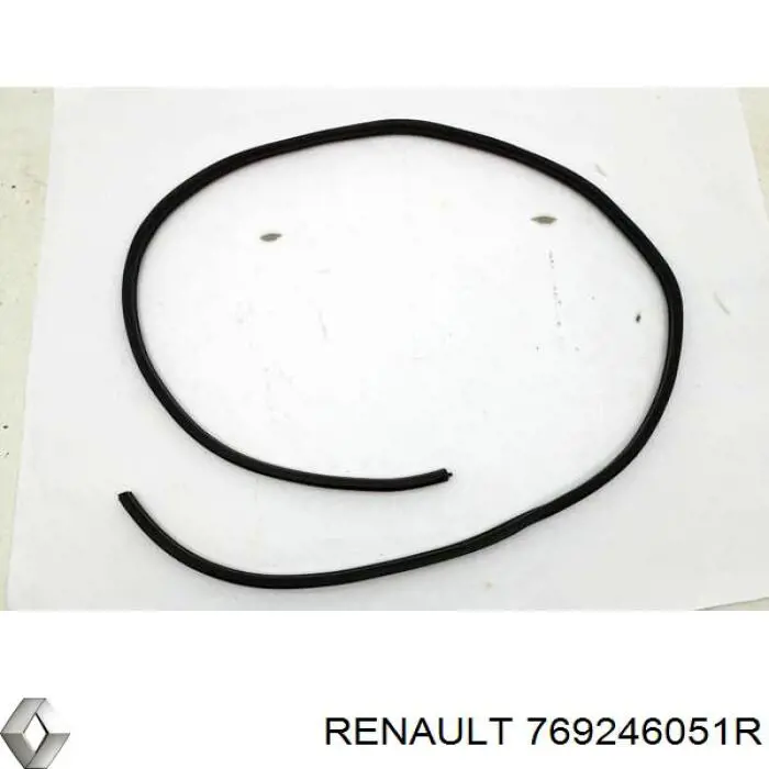 Compactador da porta dianteira esquerda (na porta) Renault (RVI) 769246051R preço, a partir de 19,78 USD