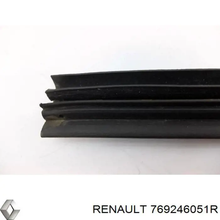 769246051R Renault (RVI) Compactador da porta dianteira esquerda (na porta)