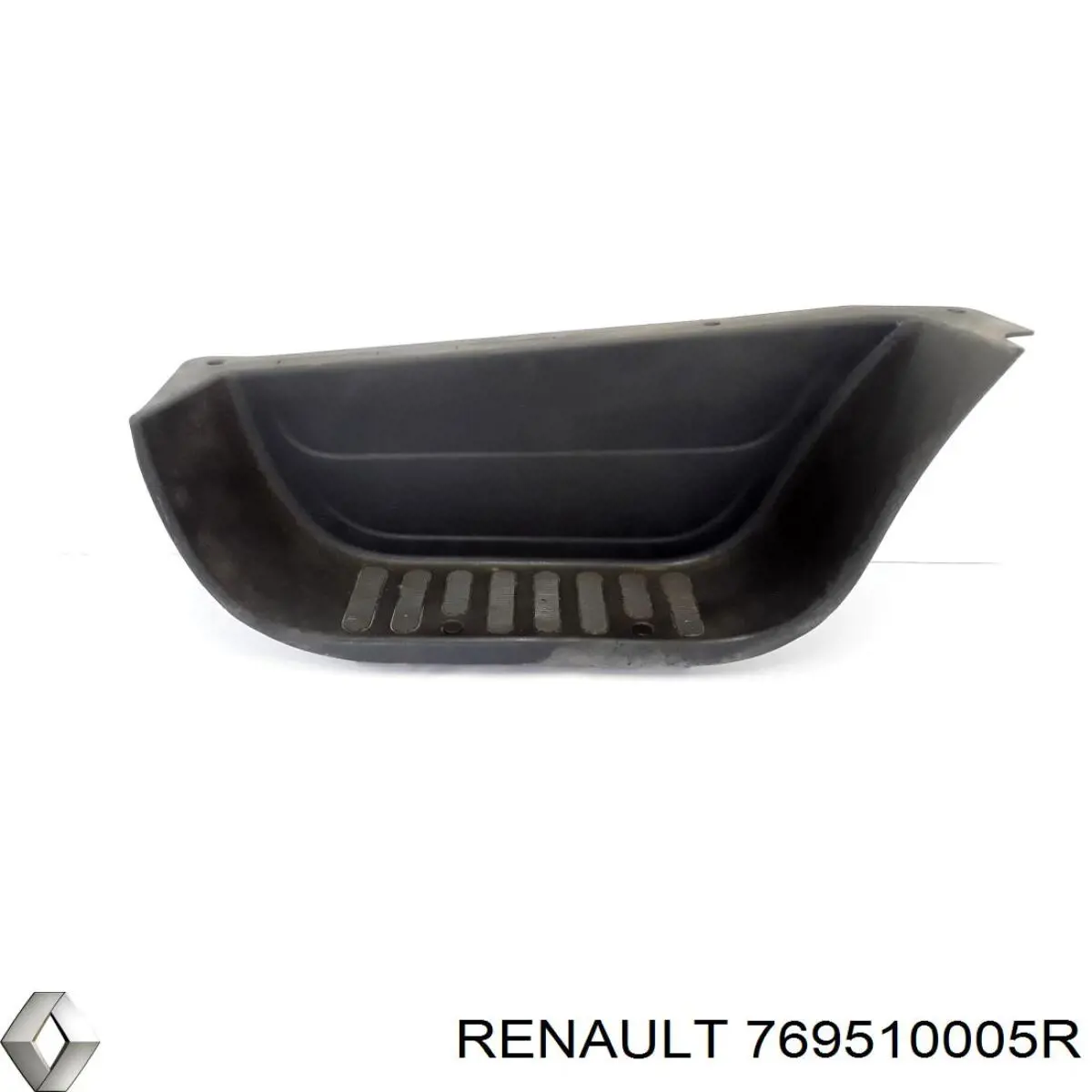 769510005R Renault (RVI) Placa sobreposta interna dianteira direita de acesso na porta