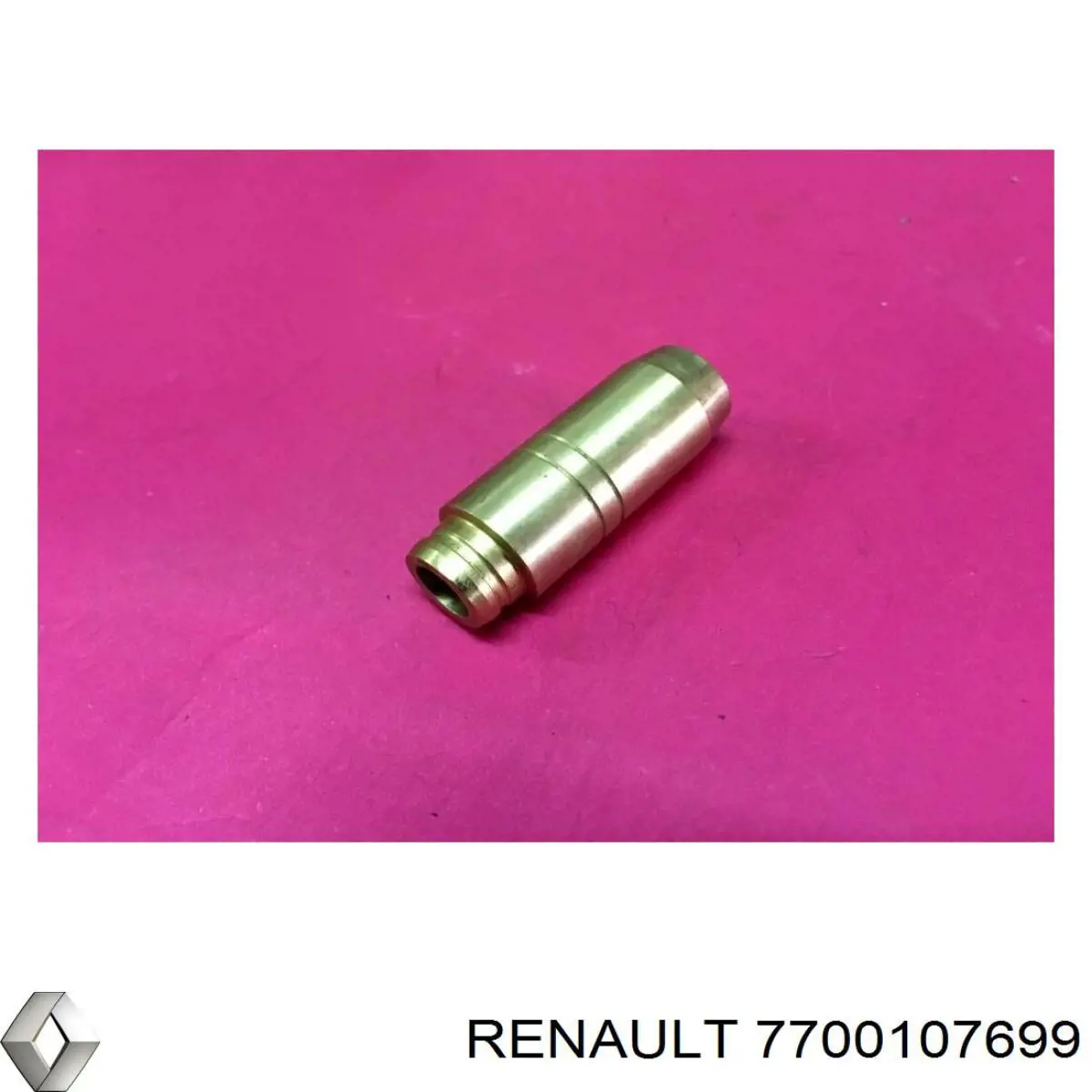 Guia de válvula Renault 19 II D53, 853