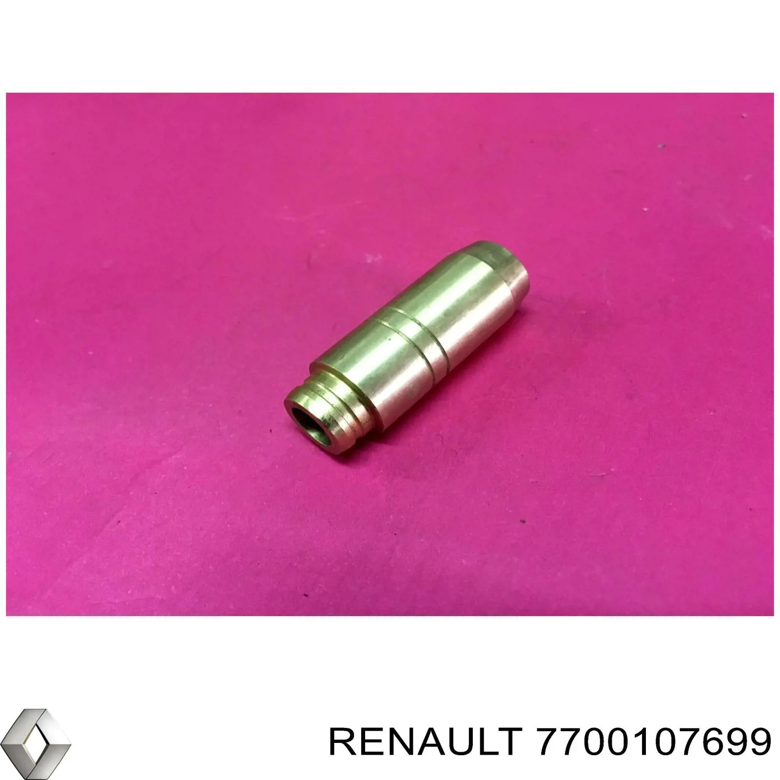  Guia de válvula Renault 19 II conversível (D53, 853) (1992 - 1996) II