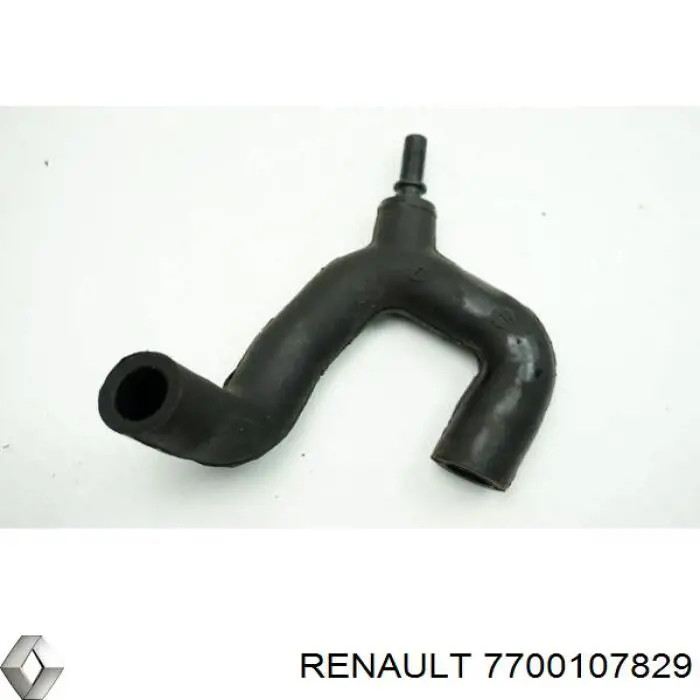Compre 7700107829 Renault (RVI) Mangueira (cano derivado) do sistema de esfriamento