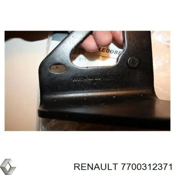 7700312371 Renault (RVI) Rolo esquerdo inferior da porta lateral (deslizante)